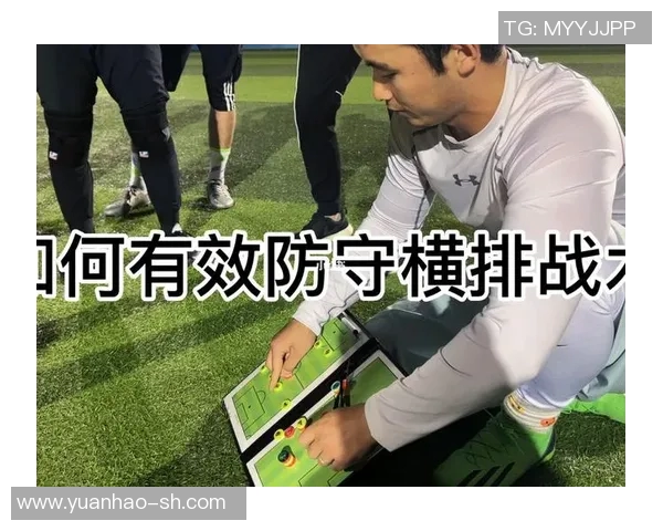 成都飞盘队节奏对比深度解析与战术演变探讨