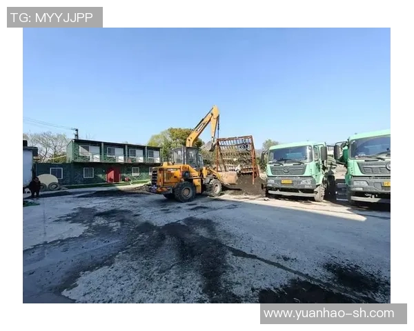 深入分析上海滑板队的运营策略与发展模式探讨