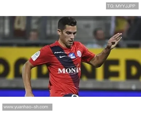 南特对沙托鲁比赛前瞻分析及胜负预测详解 南特对沙托鲁比赛前瞻分析及胜负预测详解