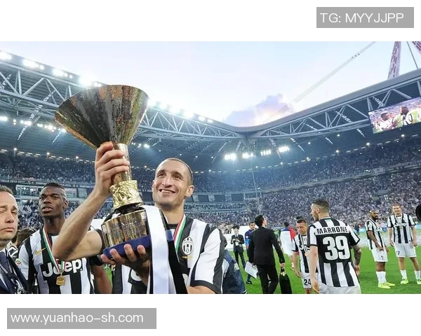 尼斯与卡昂历史交锋记录分析及战绩回顾 尼斯与卡昂历史交锋记录分析及战绩回顾