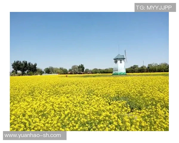 探索阿拉巴的历史与文化魅力，揭示这片土地的独特风景与人文故事