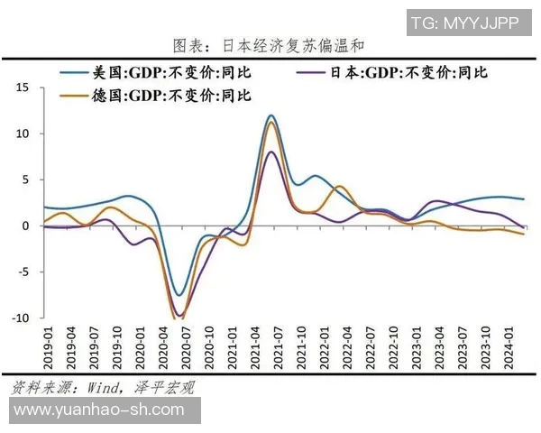 日本经济与柬埔寨经济的比较分析与发展前景探讨