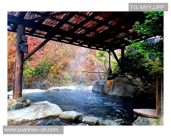 枥木县与群马县温泉的魅力对决探秘日本温泉文化的独特魅力与体验